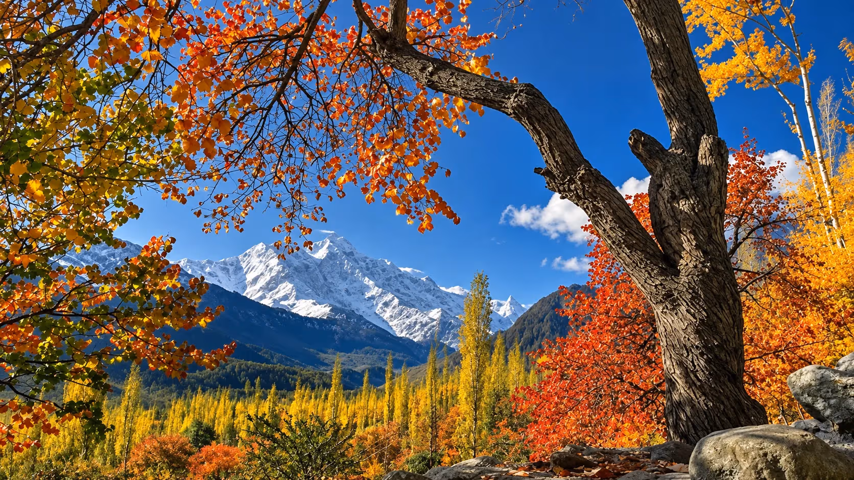 Autumn foliage framing a snow-capped peak, with golden poplars along the valley floor