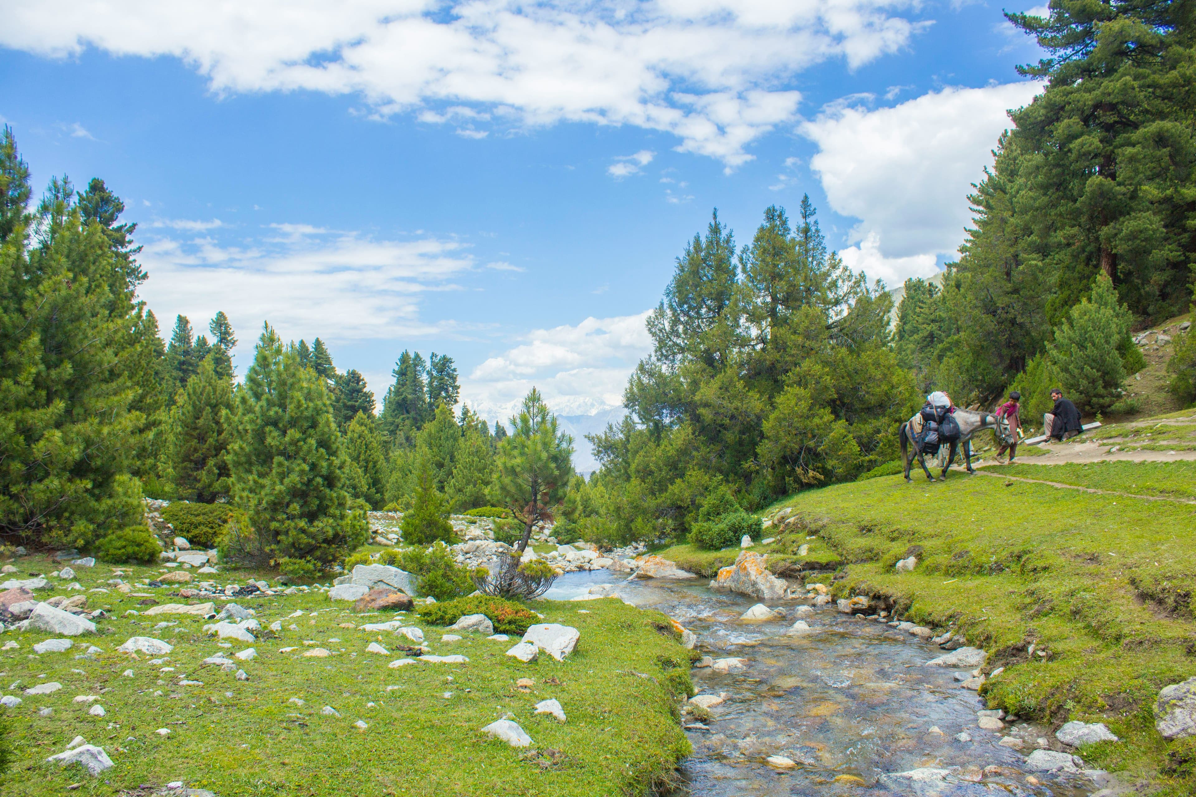 Nanga Parbat Base